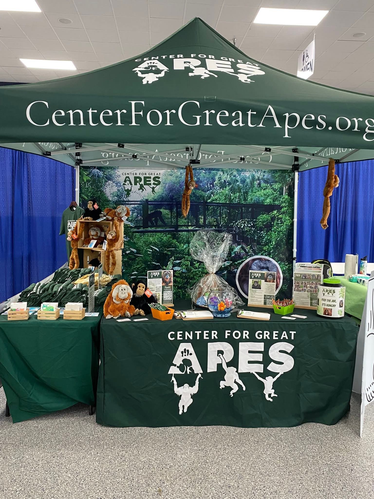 Center for Great Apes - Happy Birthday to chimpanzee Boma! Our ...