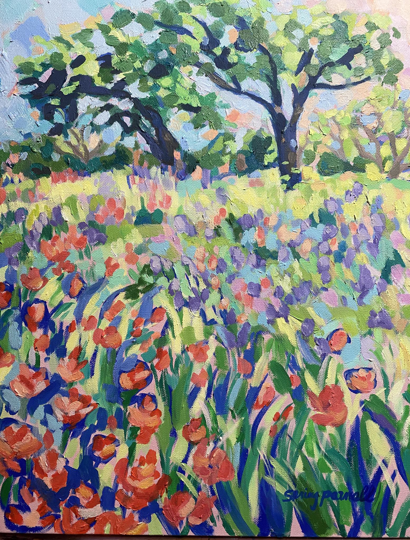 Spring Parnell