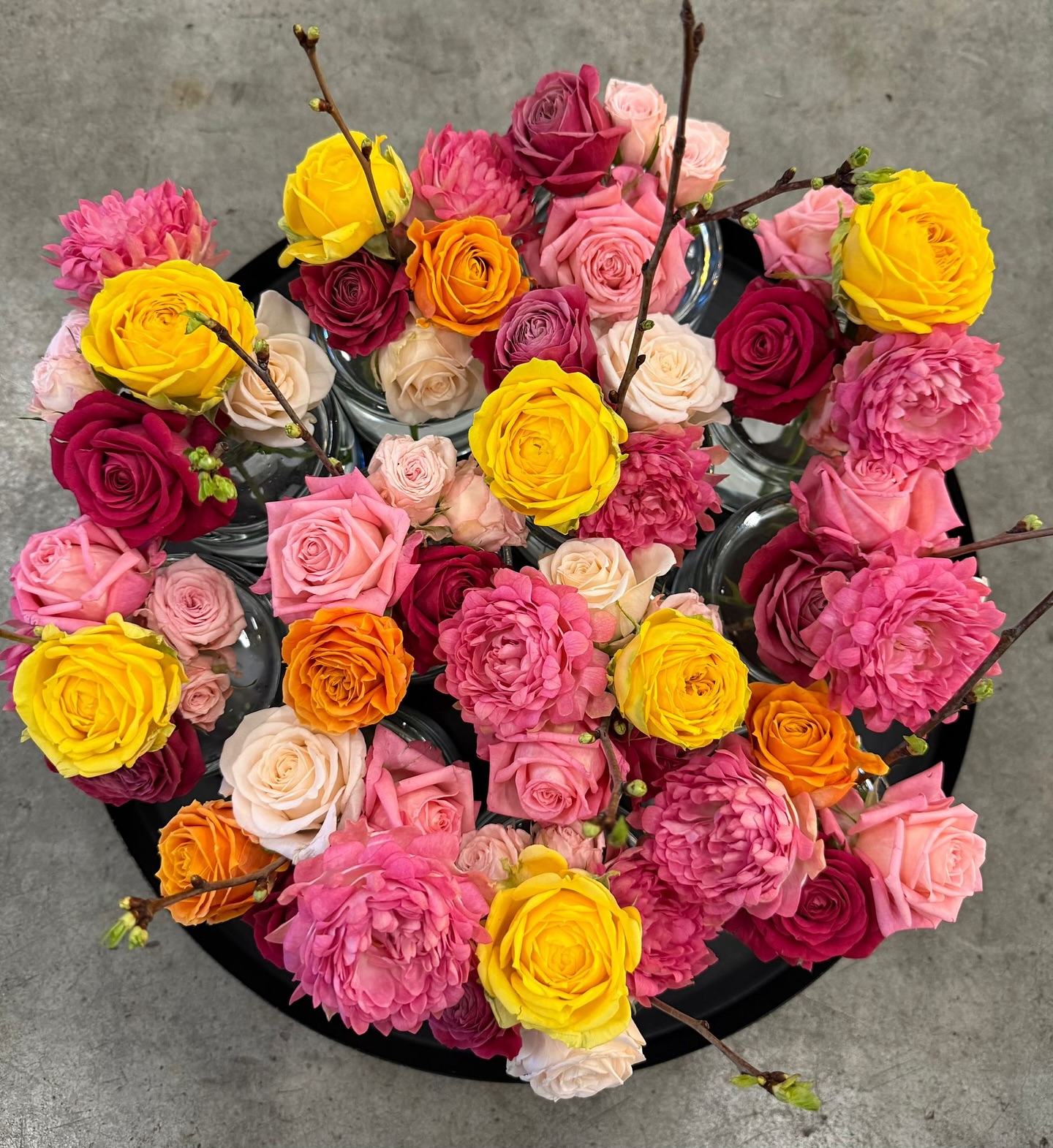 VOORN Spray Roses