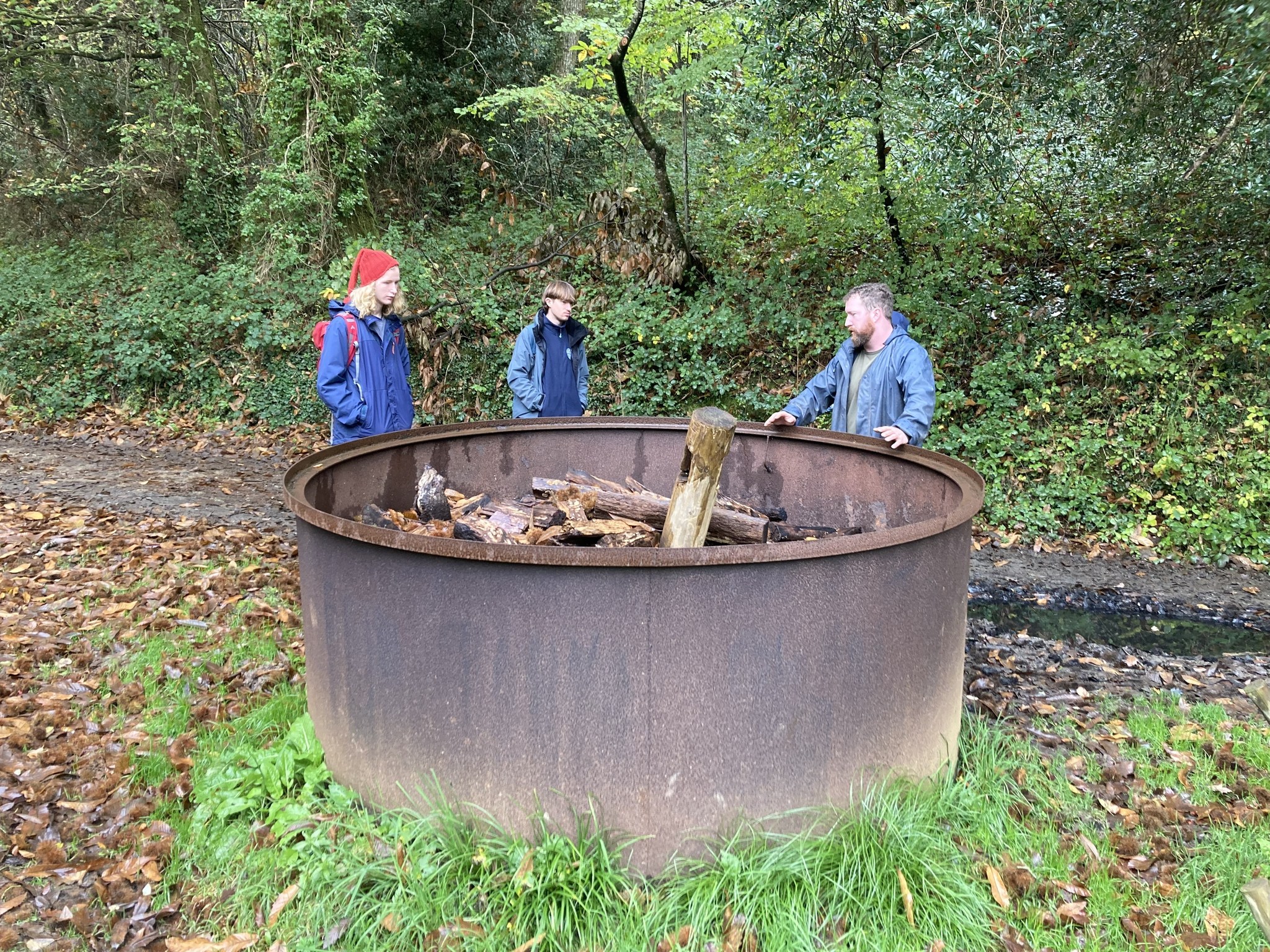 Cornwall - Investigating the impact of beavers on biodiversity in ...