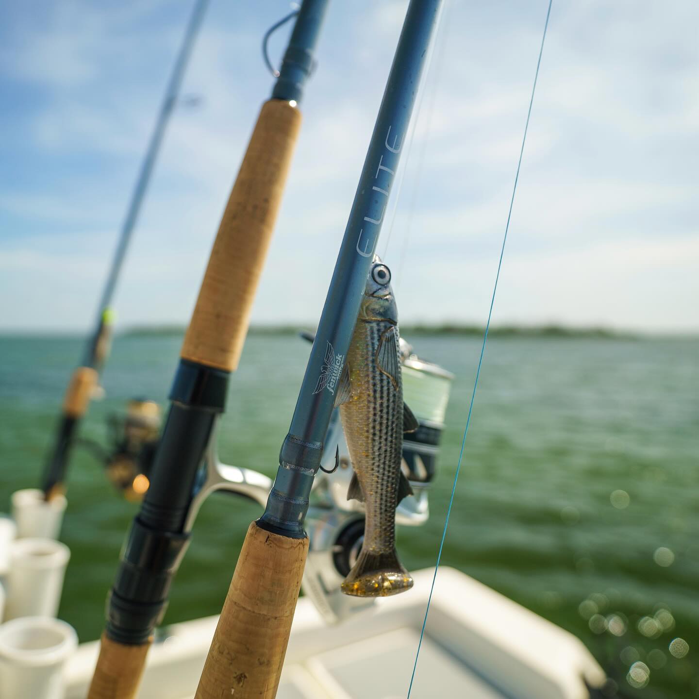 shimano stella 10000fa drag knob 25 SW 10000HG In sizes 14000 and rod St.Croix Avid Trek Saltwater Fly Hooks Size:Yellow (10-12)