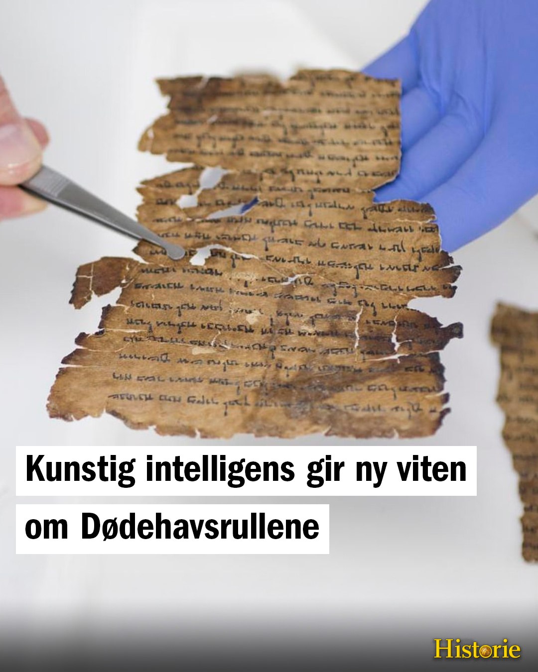 Historie Norge - Dødehavsrullene har fascinert forskere i... | Facebook