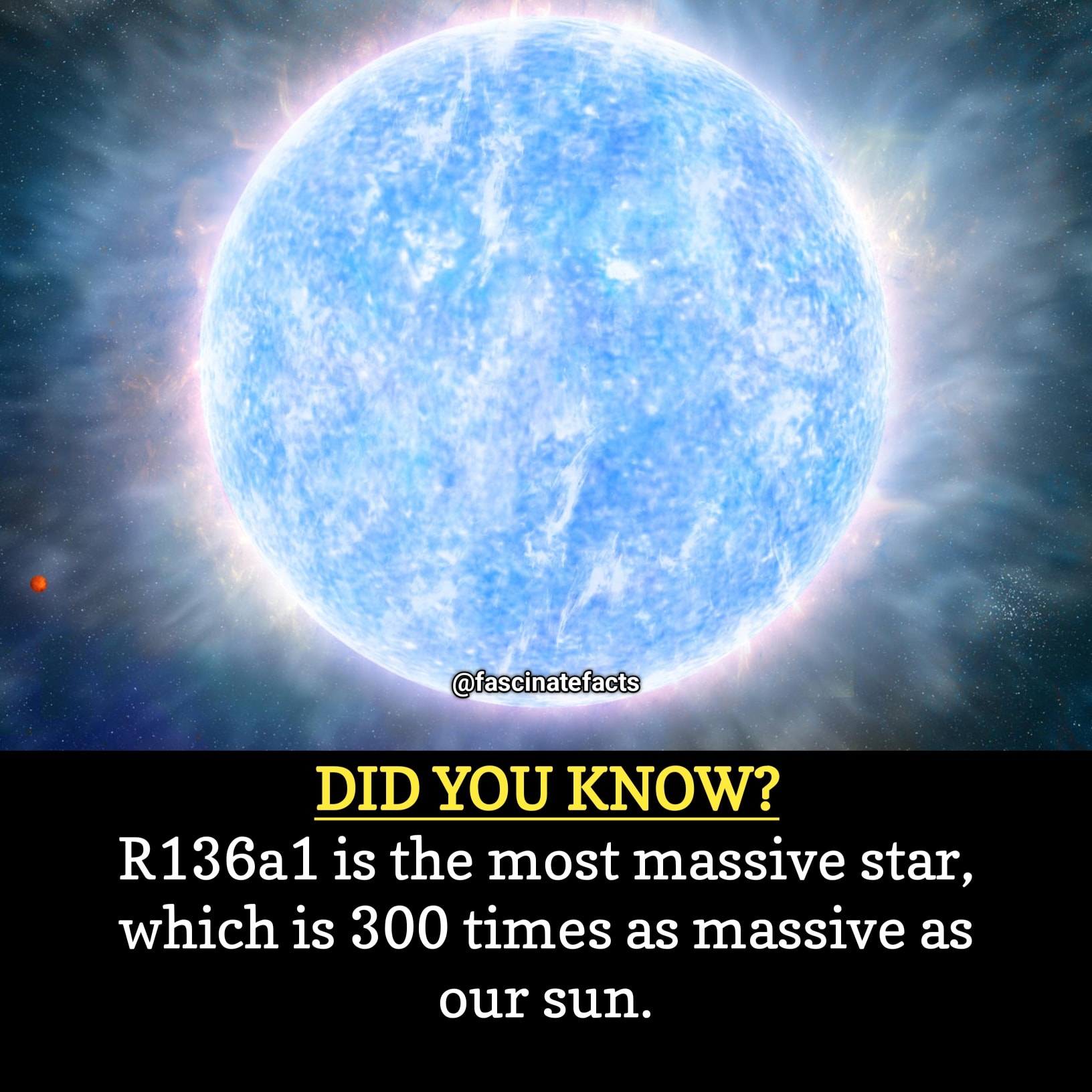 Fascinate Facts