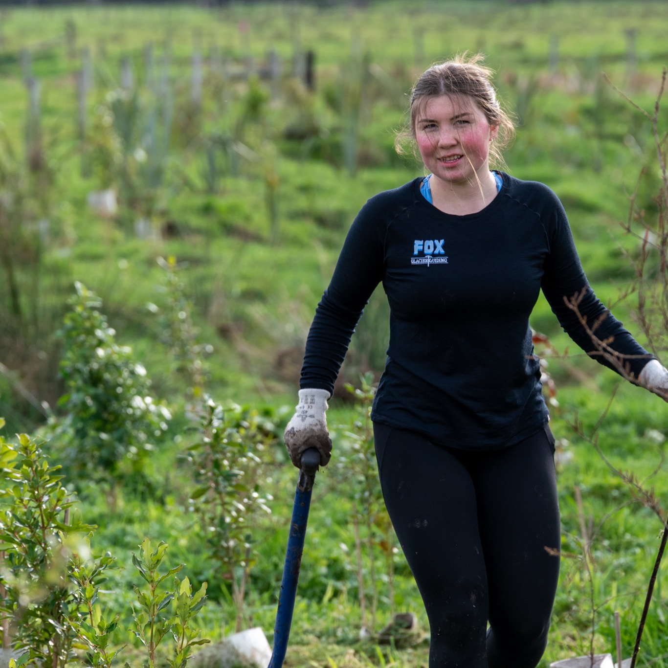 Okarito Native Plant Trust... - Okarito Native Plant Trust