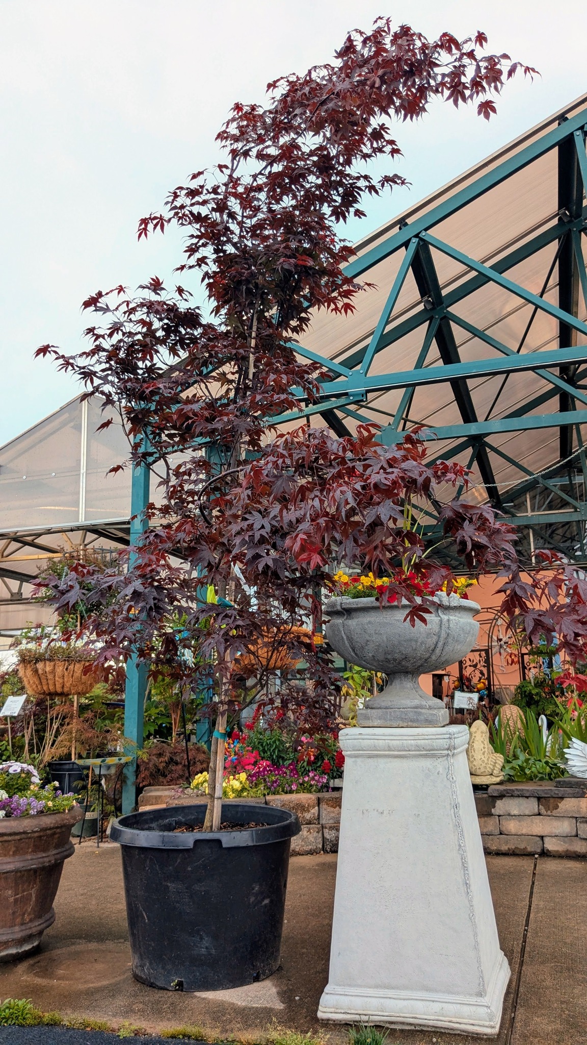 Ooltewah Nursery Landscape Co Inc