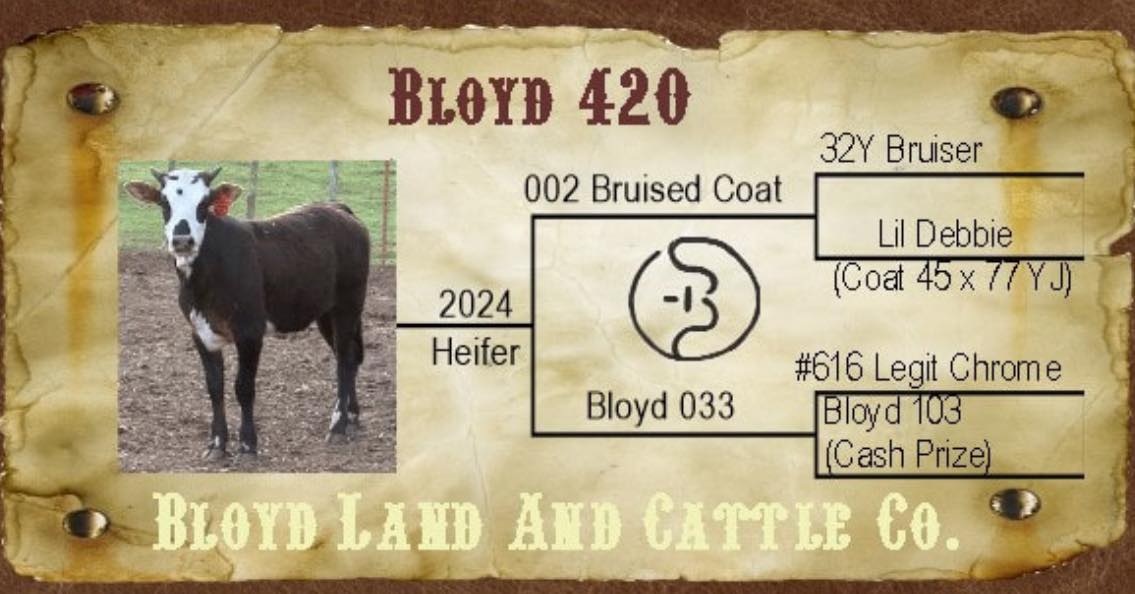 Bloyd - Raffle is up. Get a heifer or a bucking dummy for $104. These ...