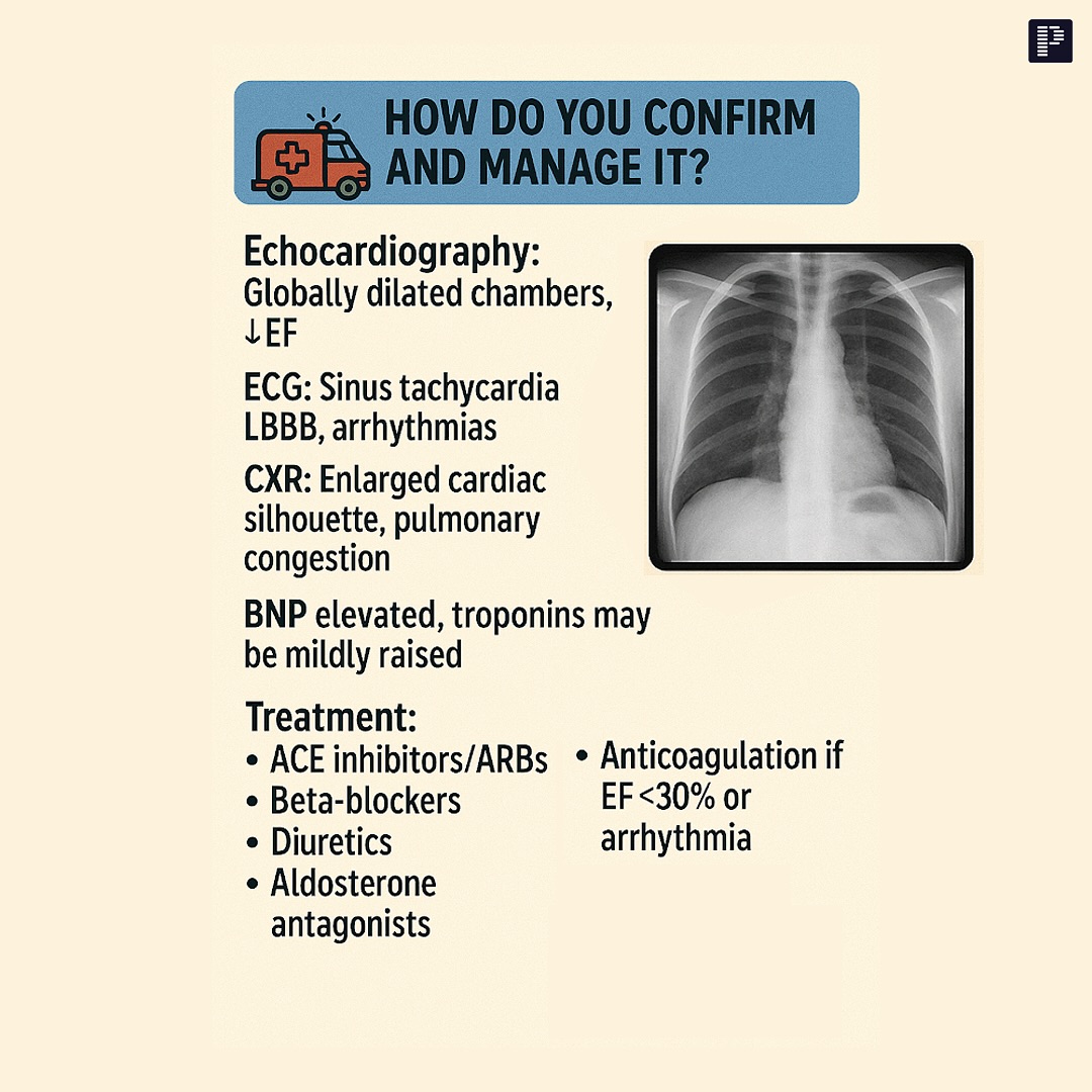 PrepLadder Medical added a new photo. - PrepLadder Medical