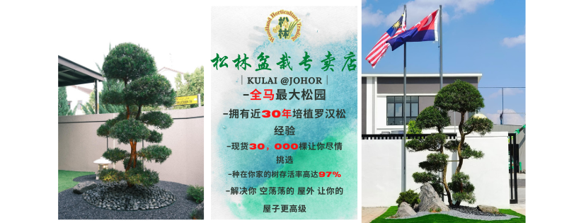 Woodland Bonsai Store 松林盆栽专卖店 | Kulai