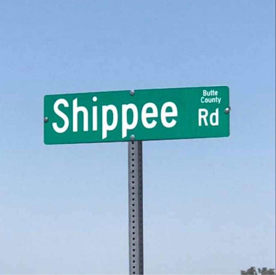 Joe Shippee