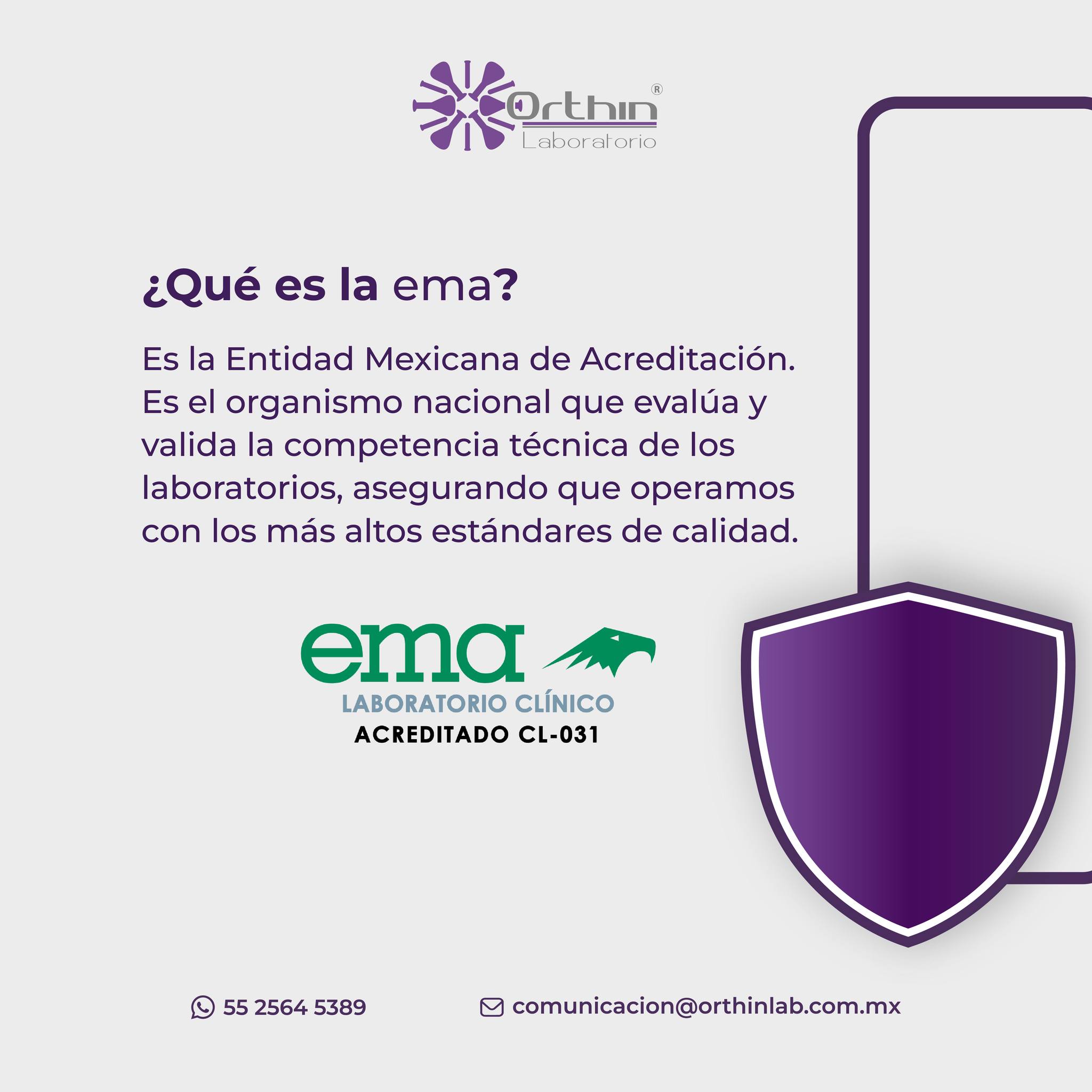 Comunidad Orthinlab