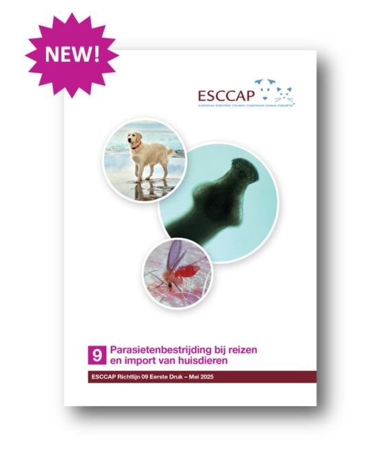 ESCCAP - 📘 New in Dutch! 🇳🇱 ESCCAP’s latest guideline — Parasite ...