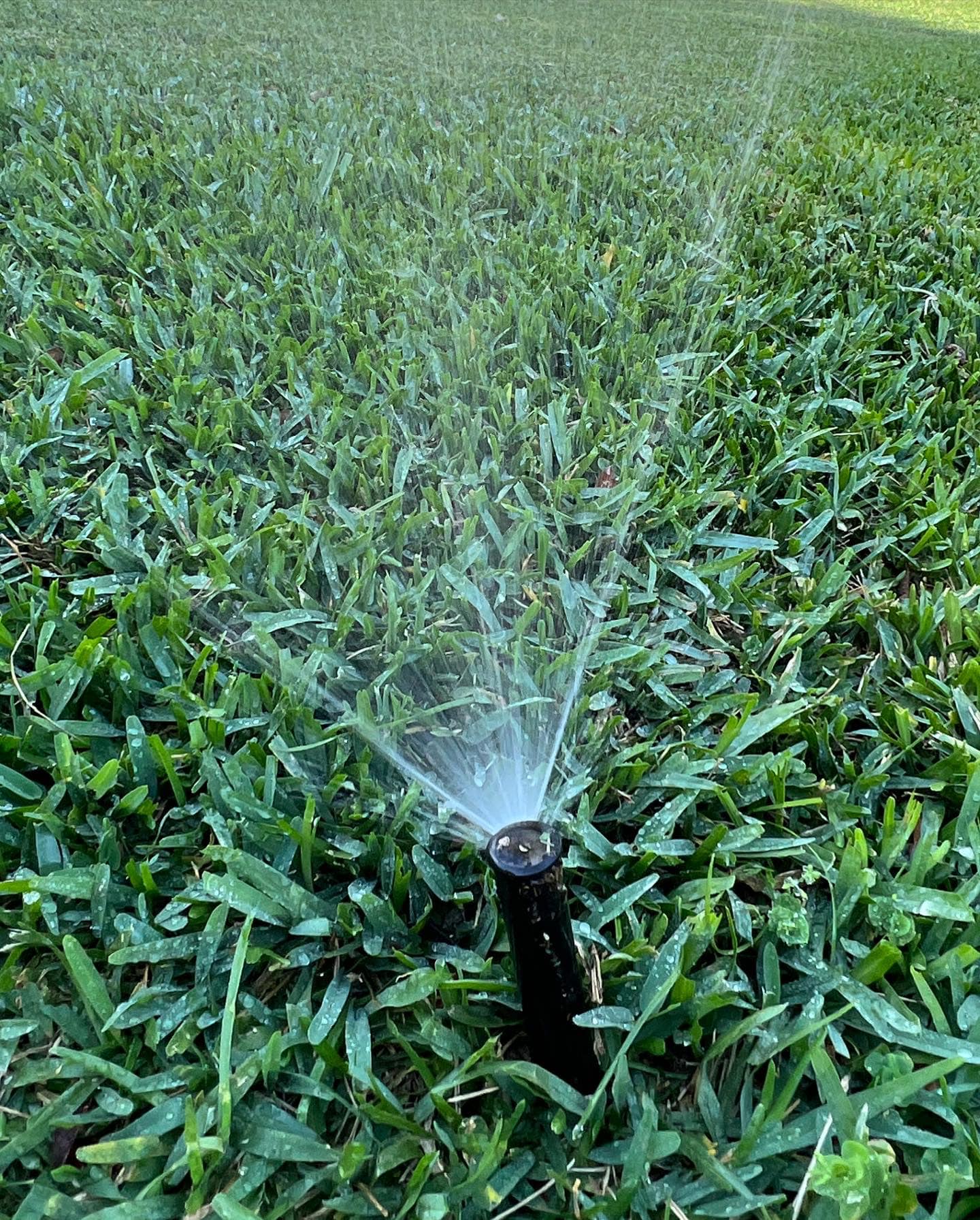 H2O Irrigation of Florida