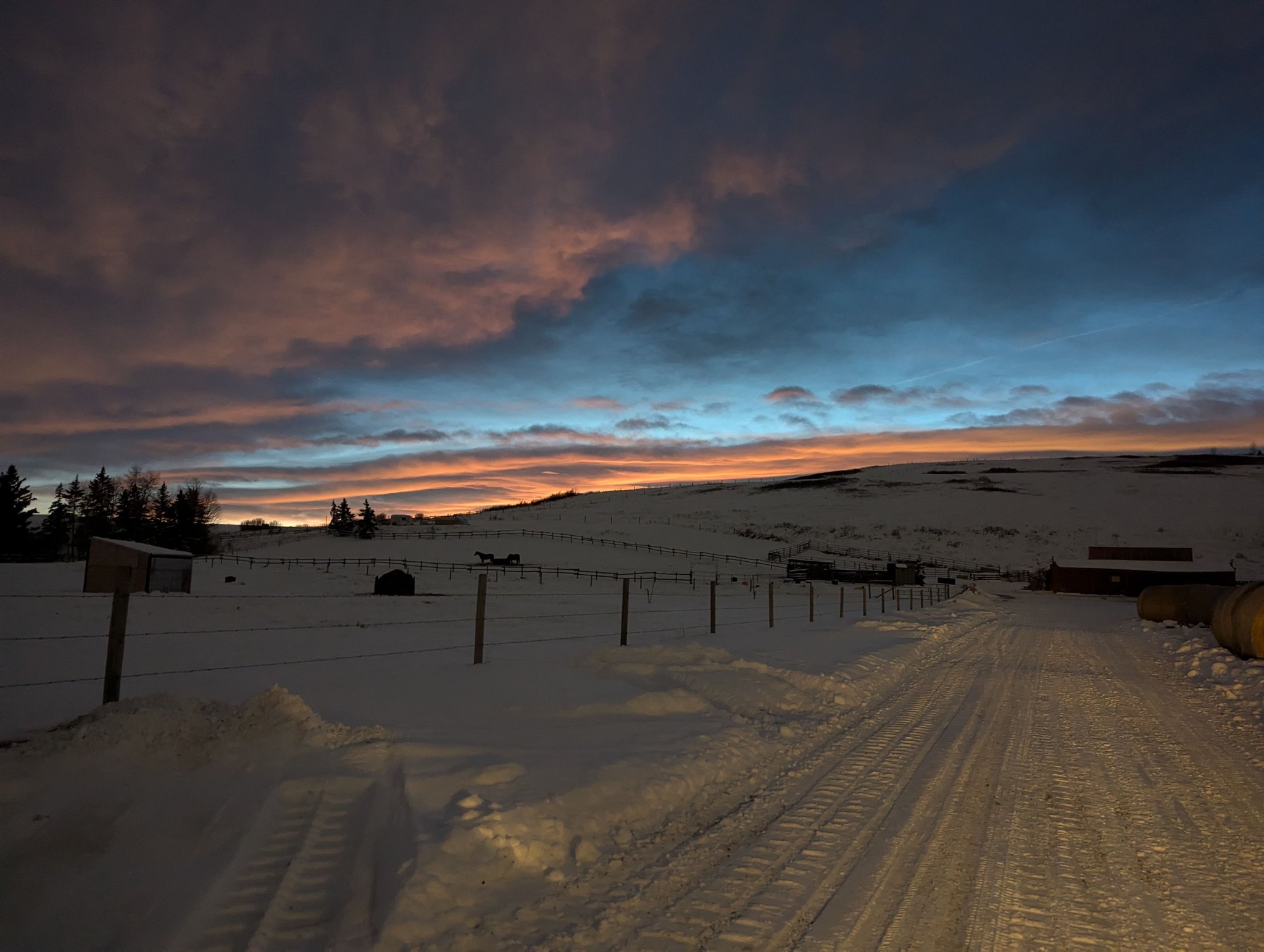 PD Ranch Horse Boarding | Foothills AB