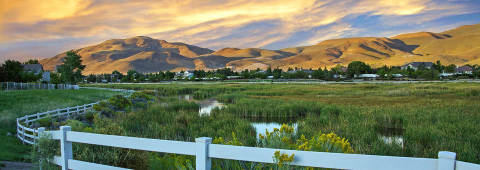 Kelli Howe, REMAX Gold | Reno NV
