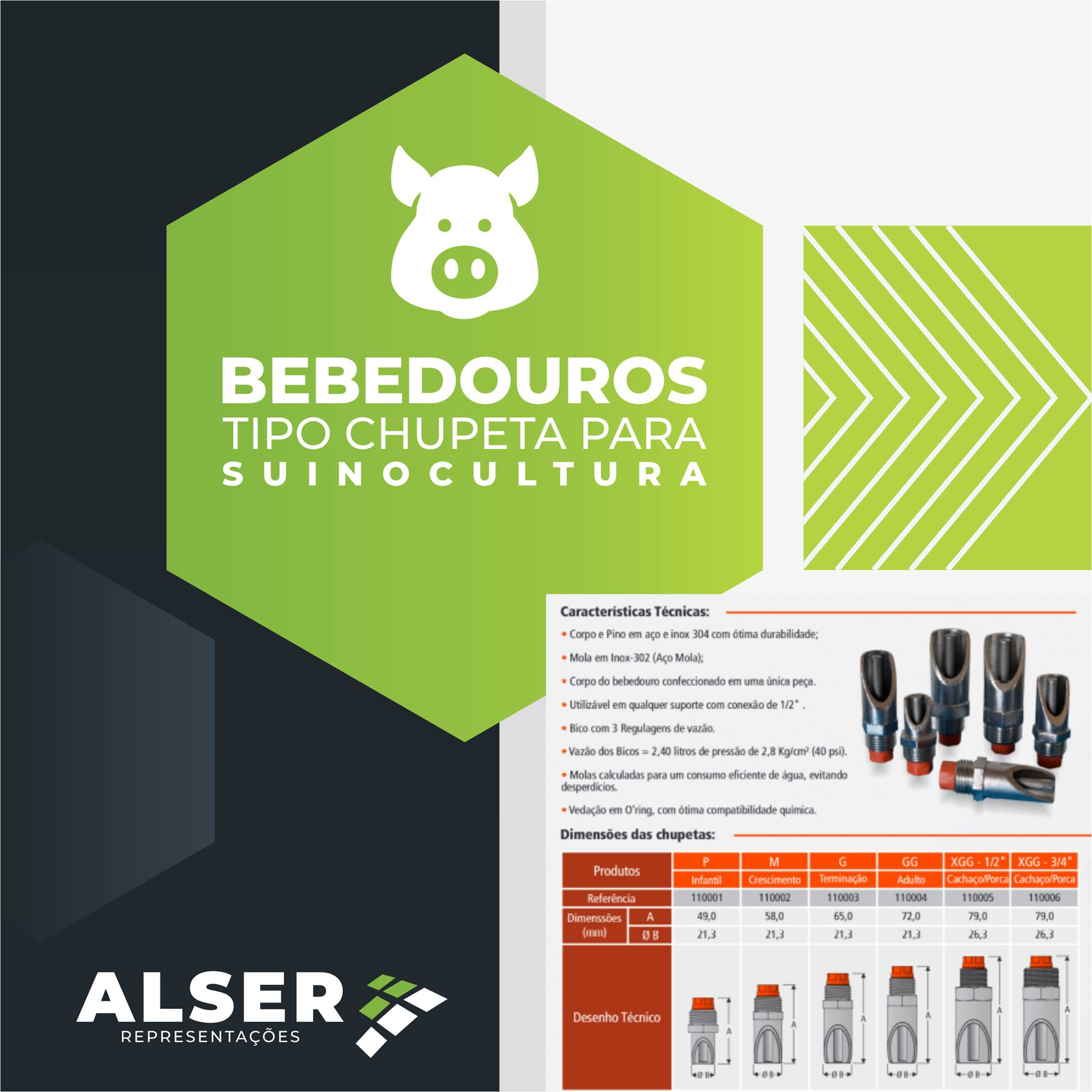 Alser Representações | Veranópolis RS