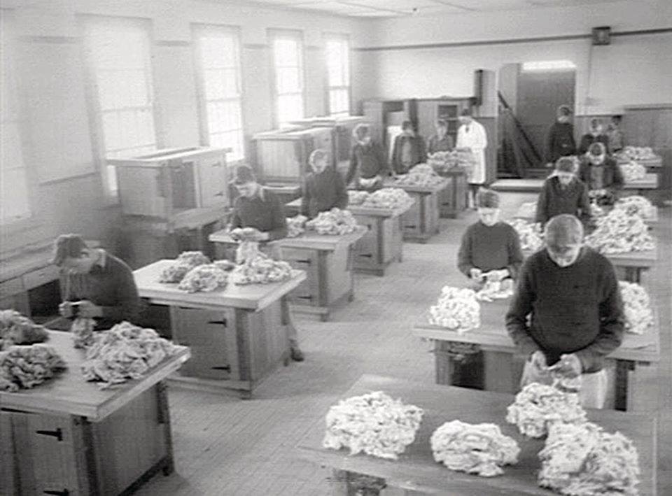 NSW Agriculture - NSW DPI Throwback Here’s a photo of students in the ...