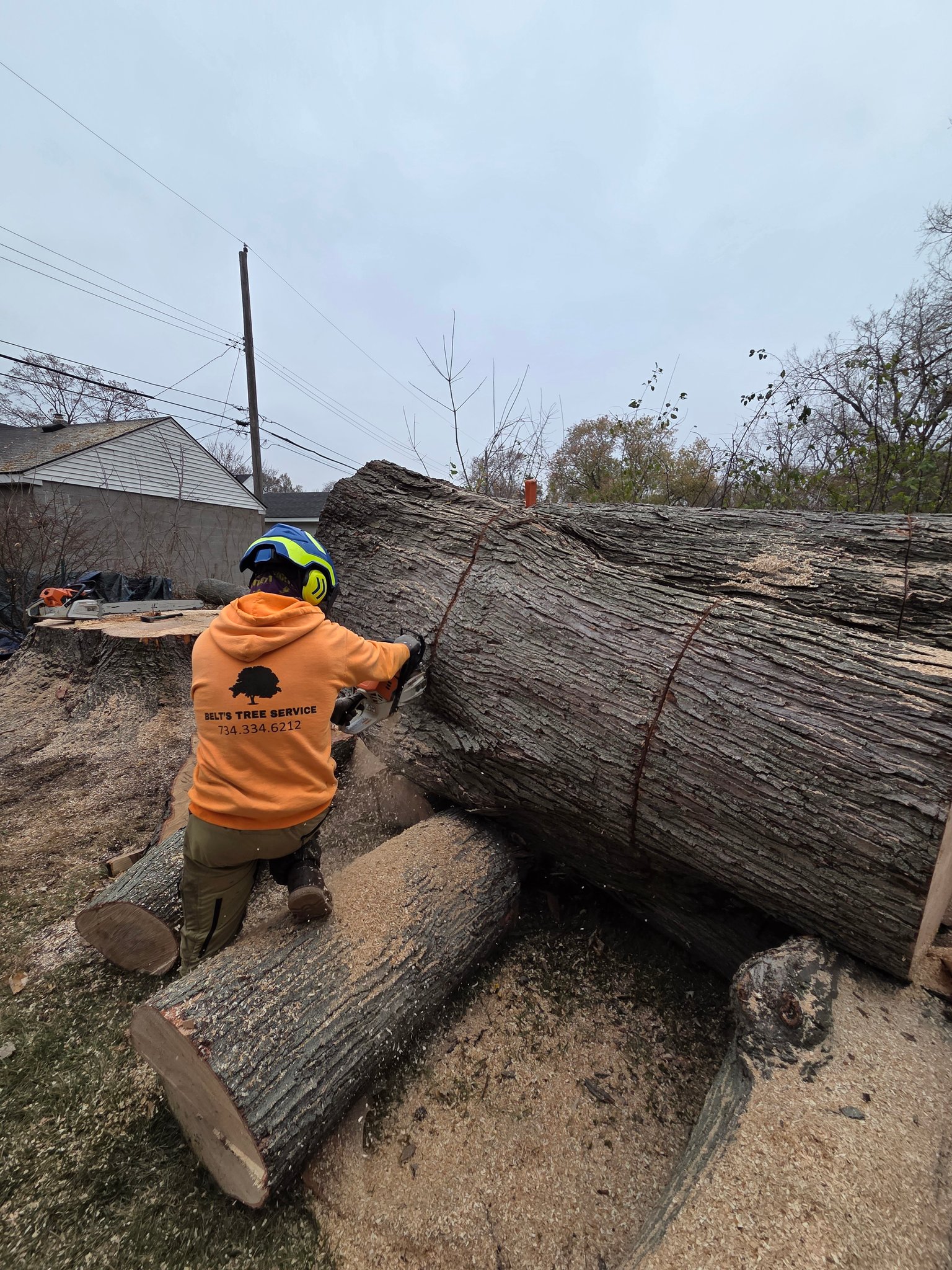 Belt’s Tree Service | Farmington Hills MI