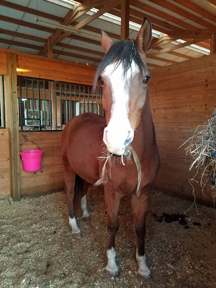 Double R Ranch - We here at the Double R Ranch would like...