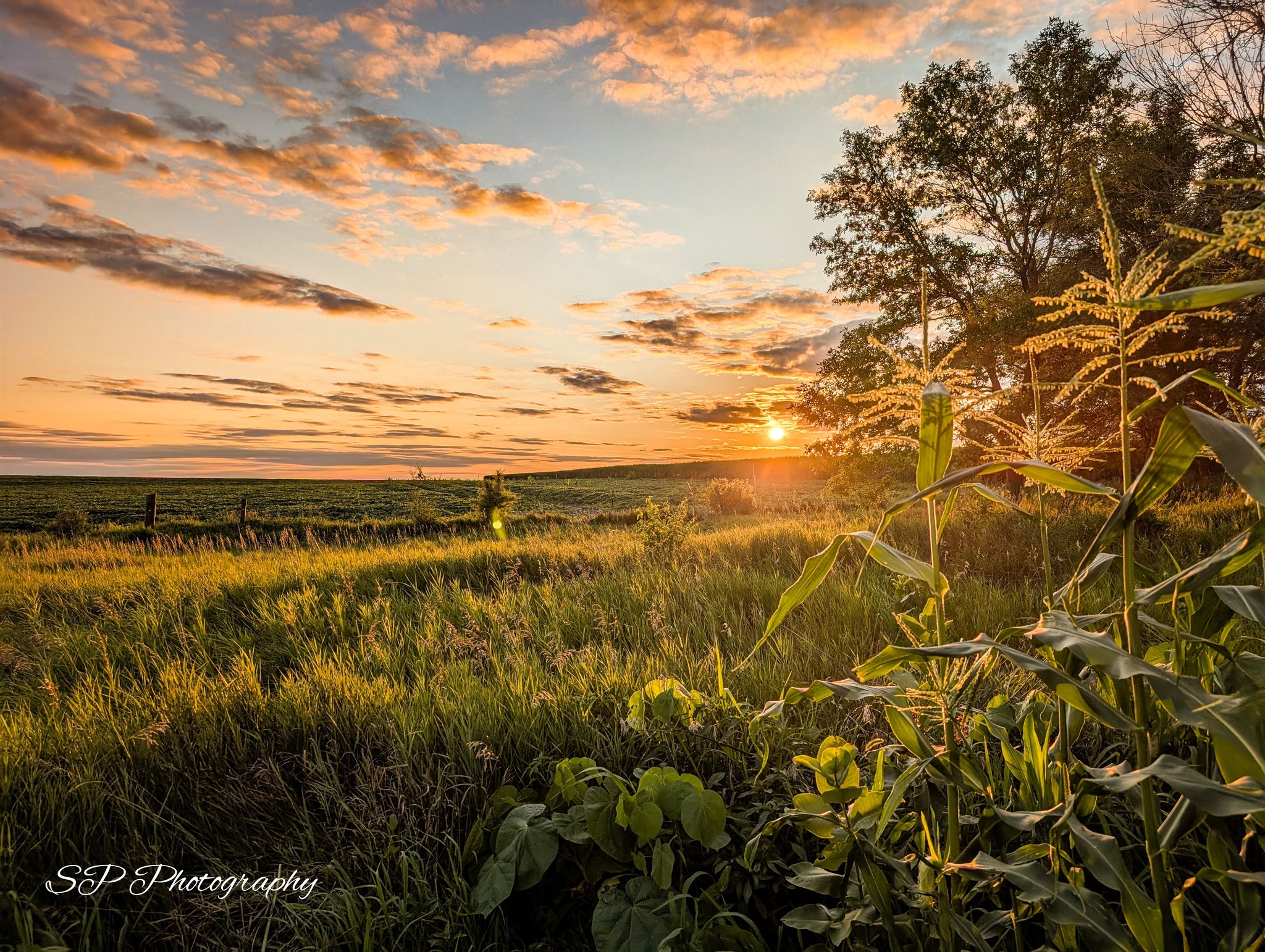 Beautiful evening I