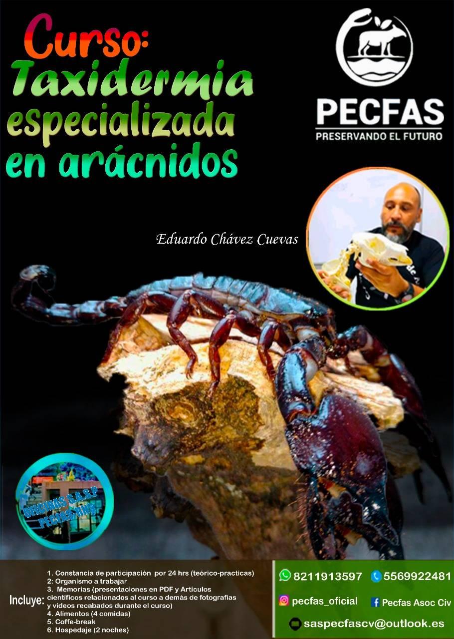 ATENTO AVISO!!! Por cuestiones de... - Pecfas-Rns SAS de CV | Facebook