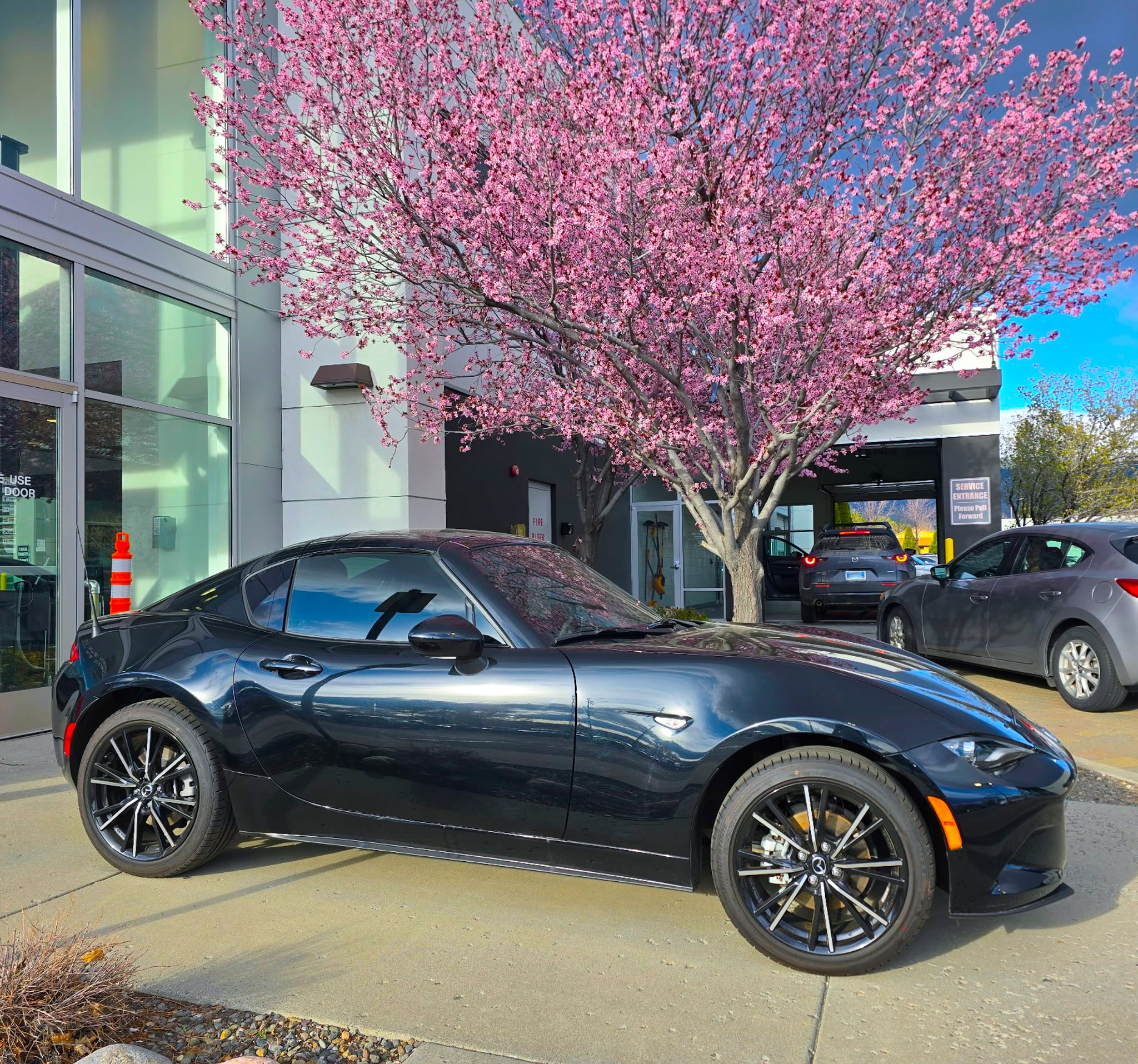 Tom Dolan's Reno Mazda | Reno NV