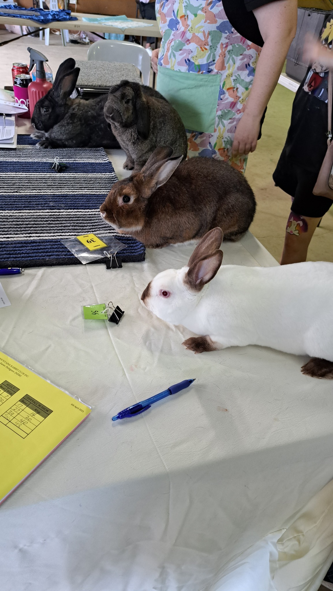 Blue Mountains Rabbit Club