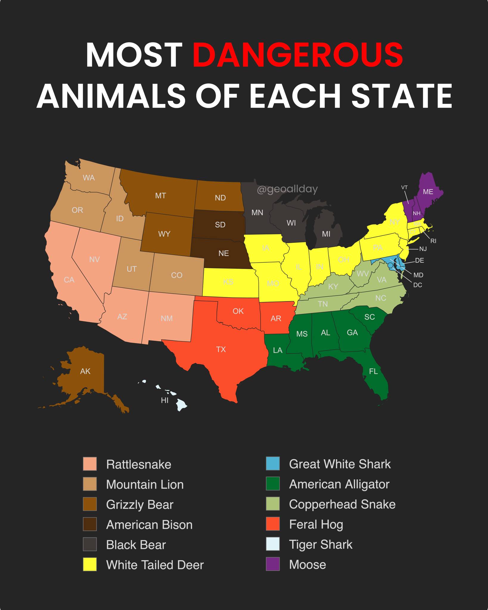 Nick Sacco - The most dangerous non-human animals. | Facebook