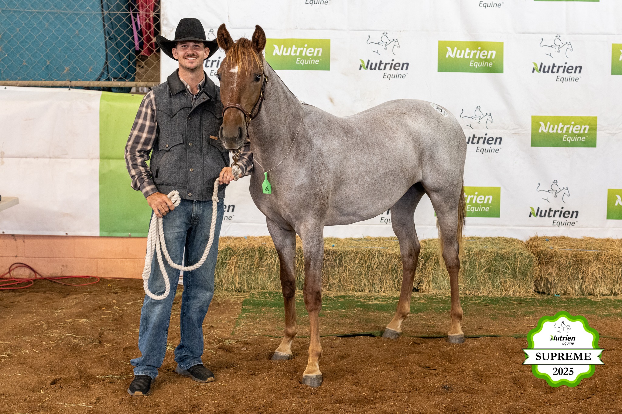 Steve Comiskey Campdrafting... - Steve Comiskey Campdrafting