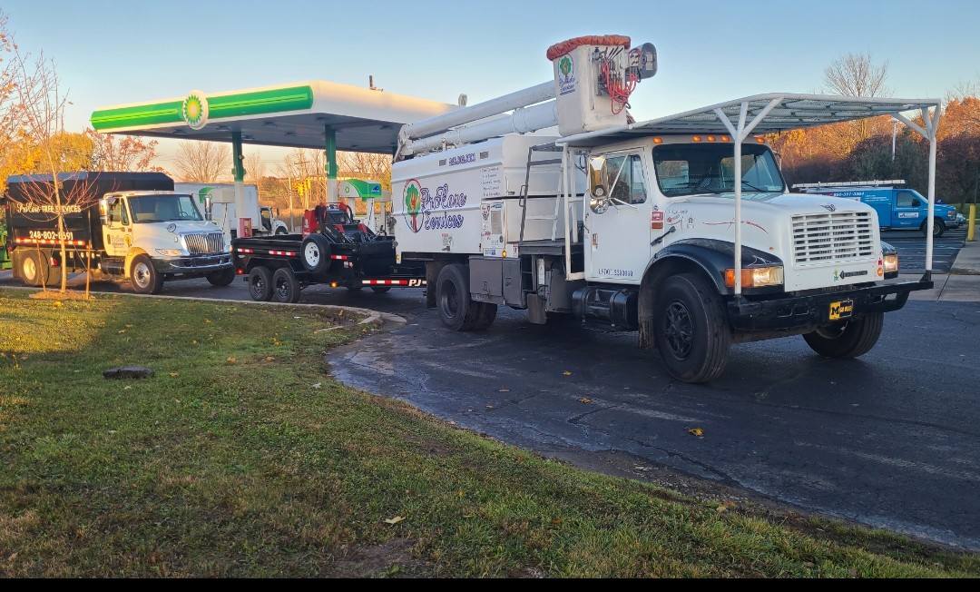 ProCare Tree services | Auburn Hills MI