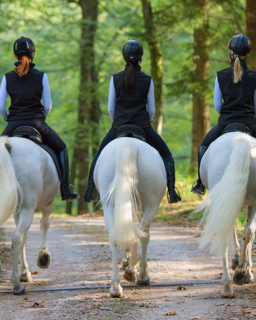British Riding Clubs added a new photo. - British Riding Clubs