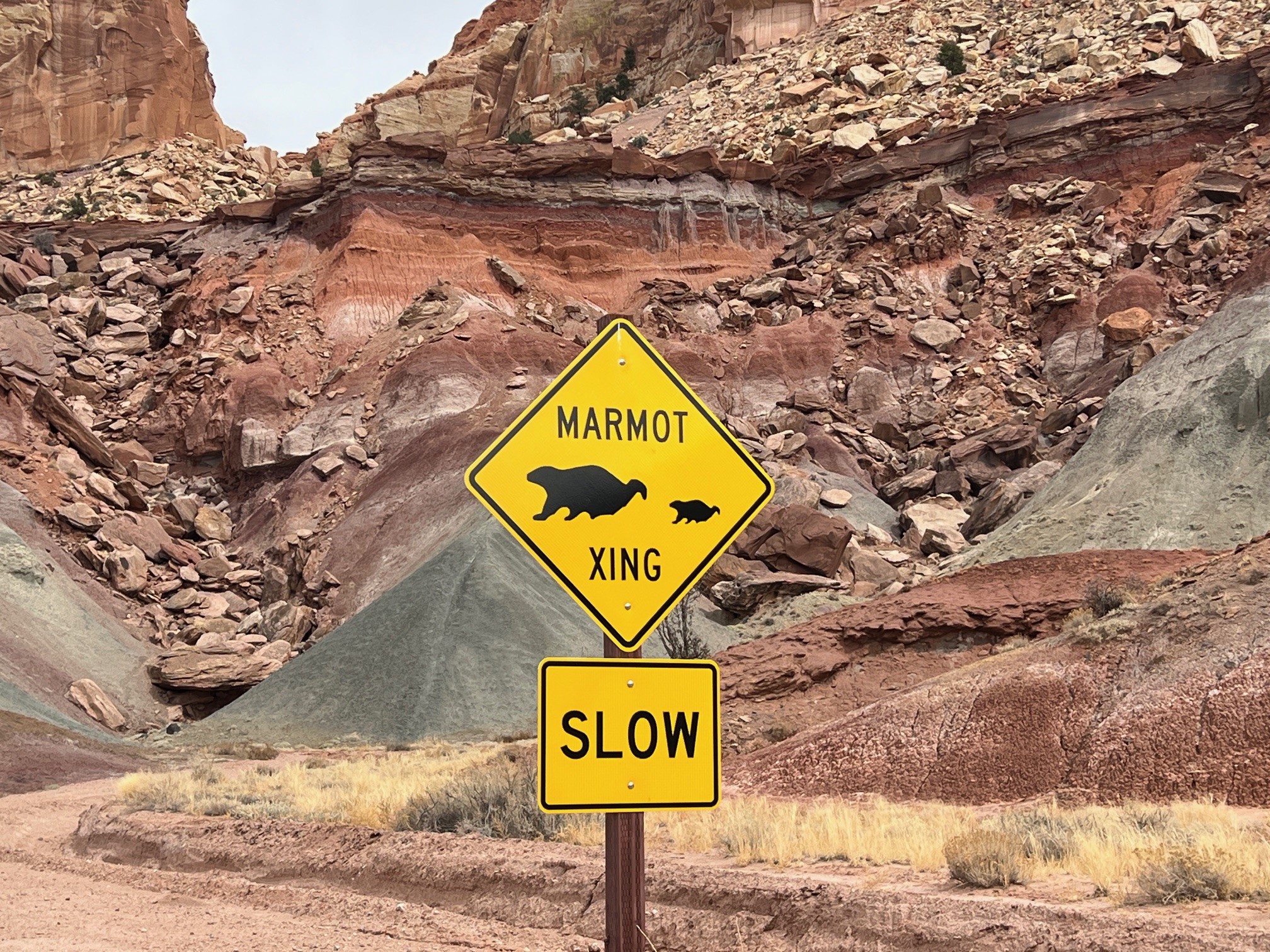 Crow - On a recent scouting mission in the Capitol Reef area our ...