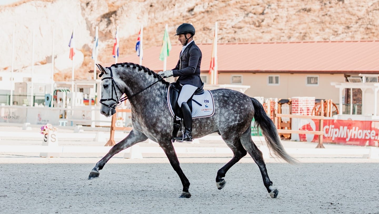 Abel Spanish Rider