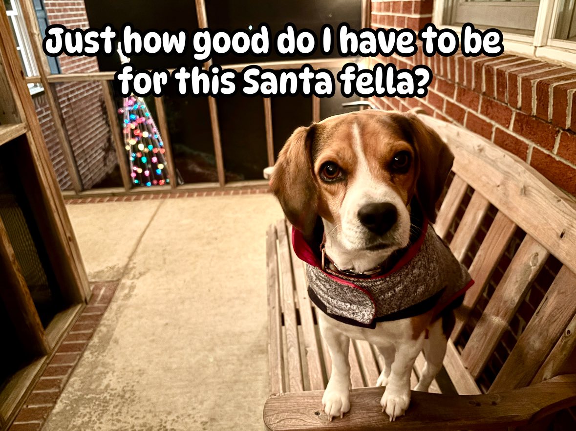 Ranger the Beagle | Facebook