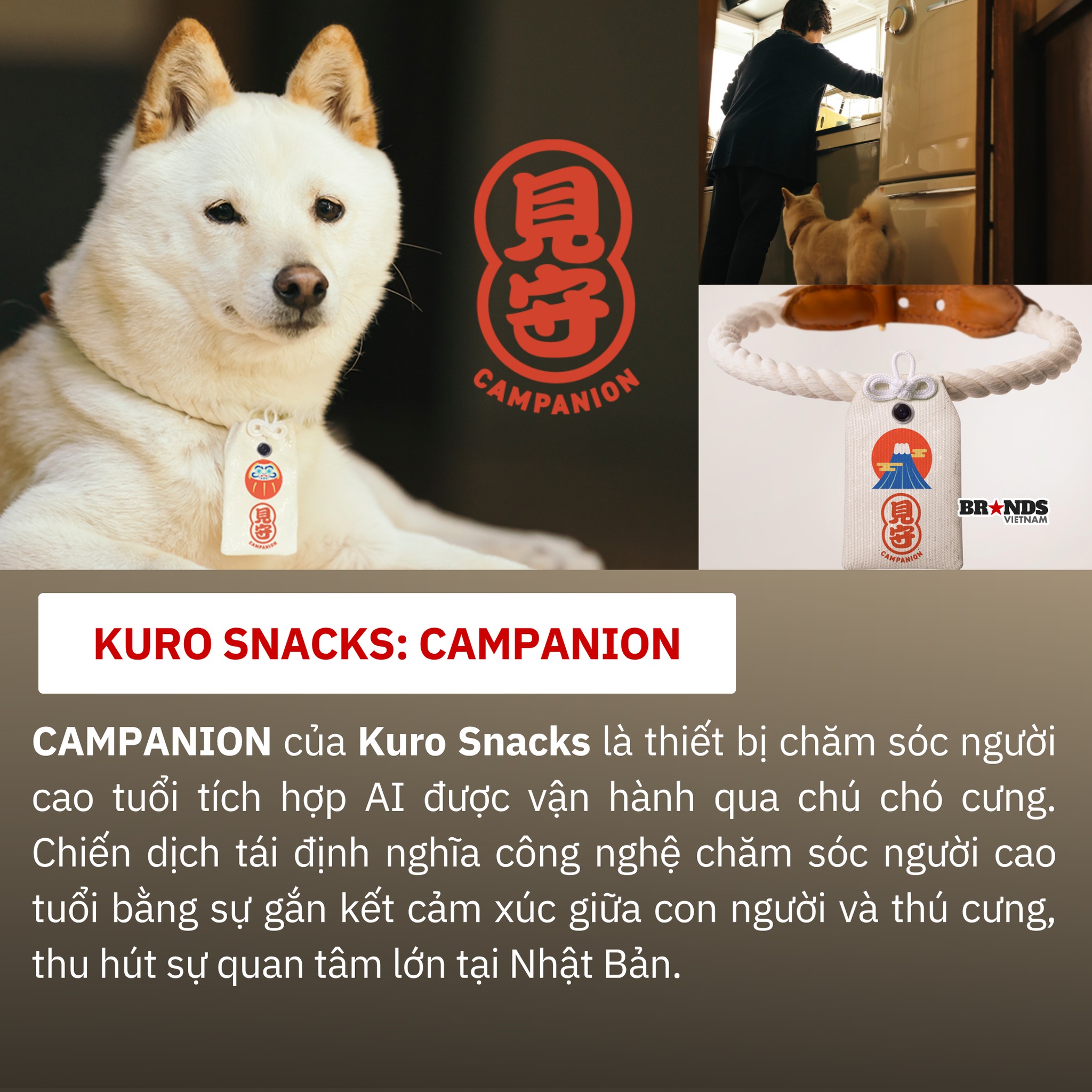 Brands - ★ CAMPANION – Khi chú chó trở thành “người chăm sóc” thời AI ...
