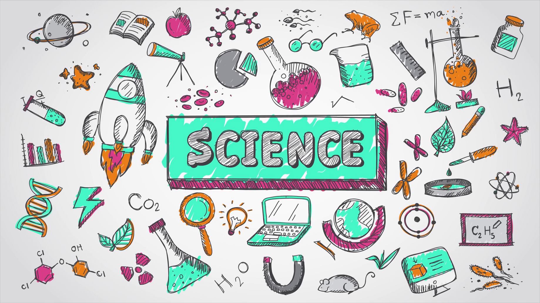 Enjoy Science