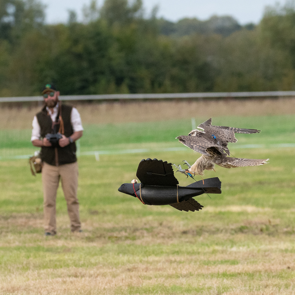 The Rocrow allows you to test your... - Wingbeat Rofalconry | Facebook
