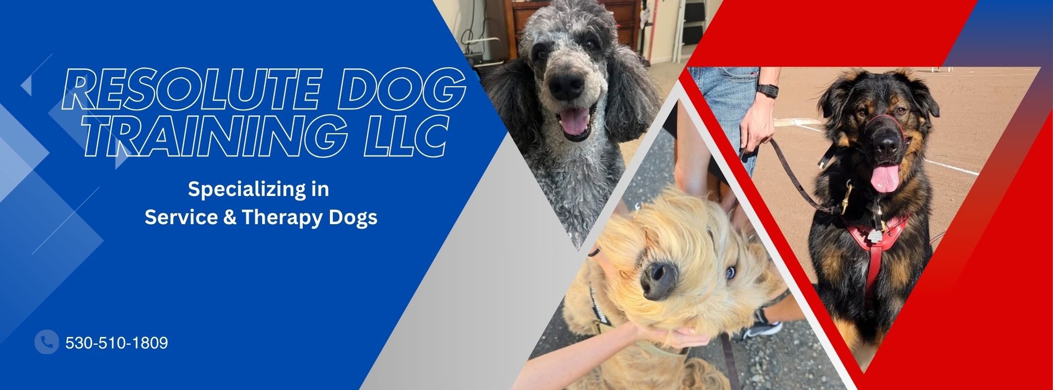 Resolute Dog Training | Chico CA
