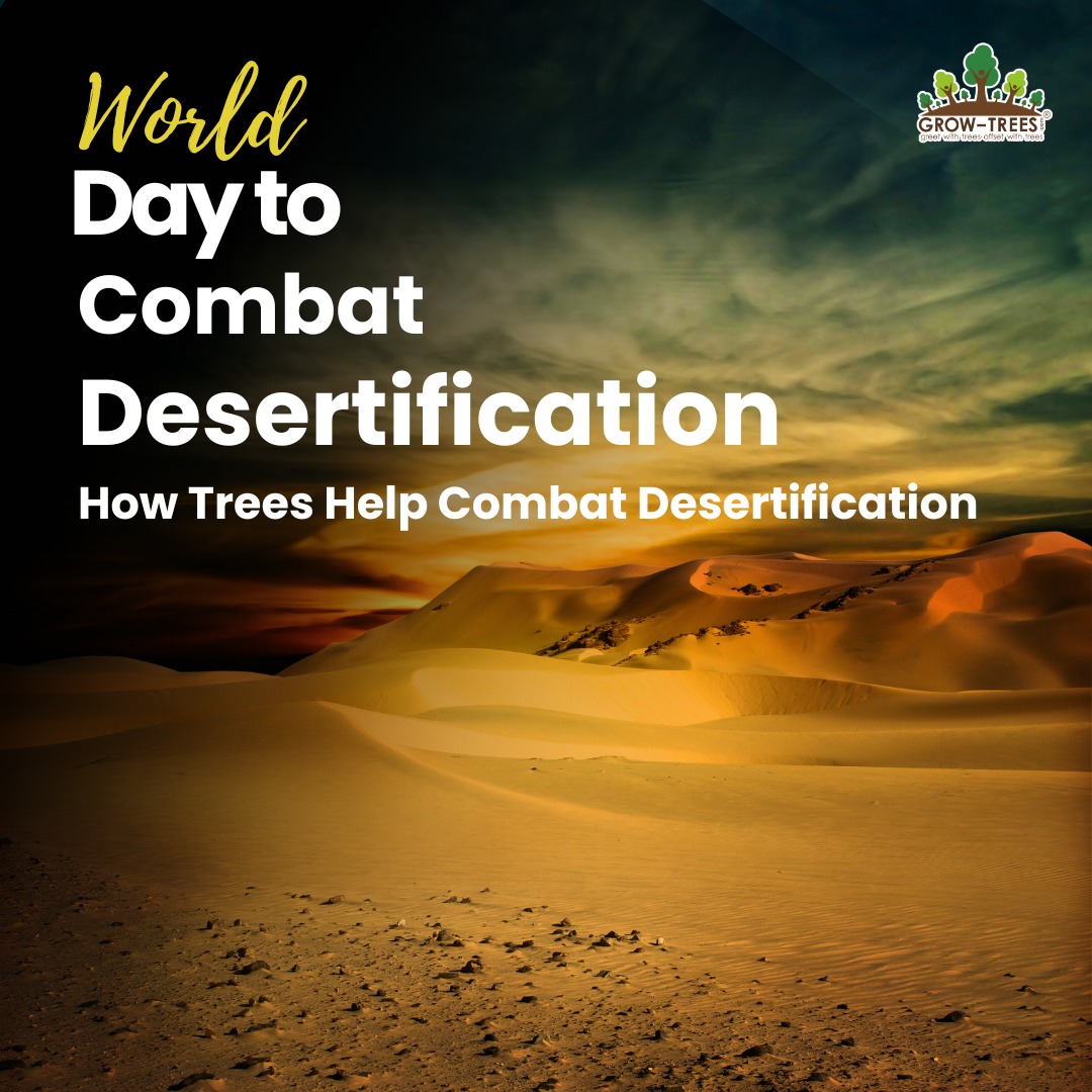Grow-Trees.com - Today is International Day of Happiness! Let us ...