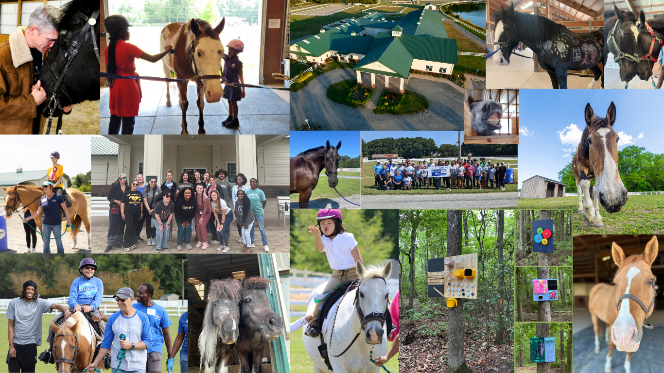EQUI-KIDS Therapeutic Riding Program | Virginia Beach VA