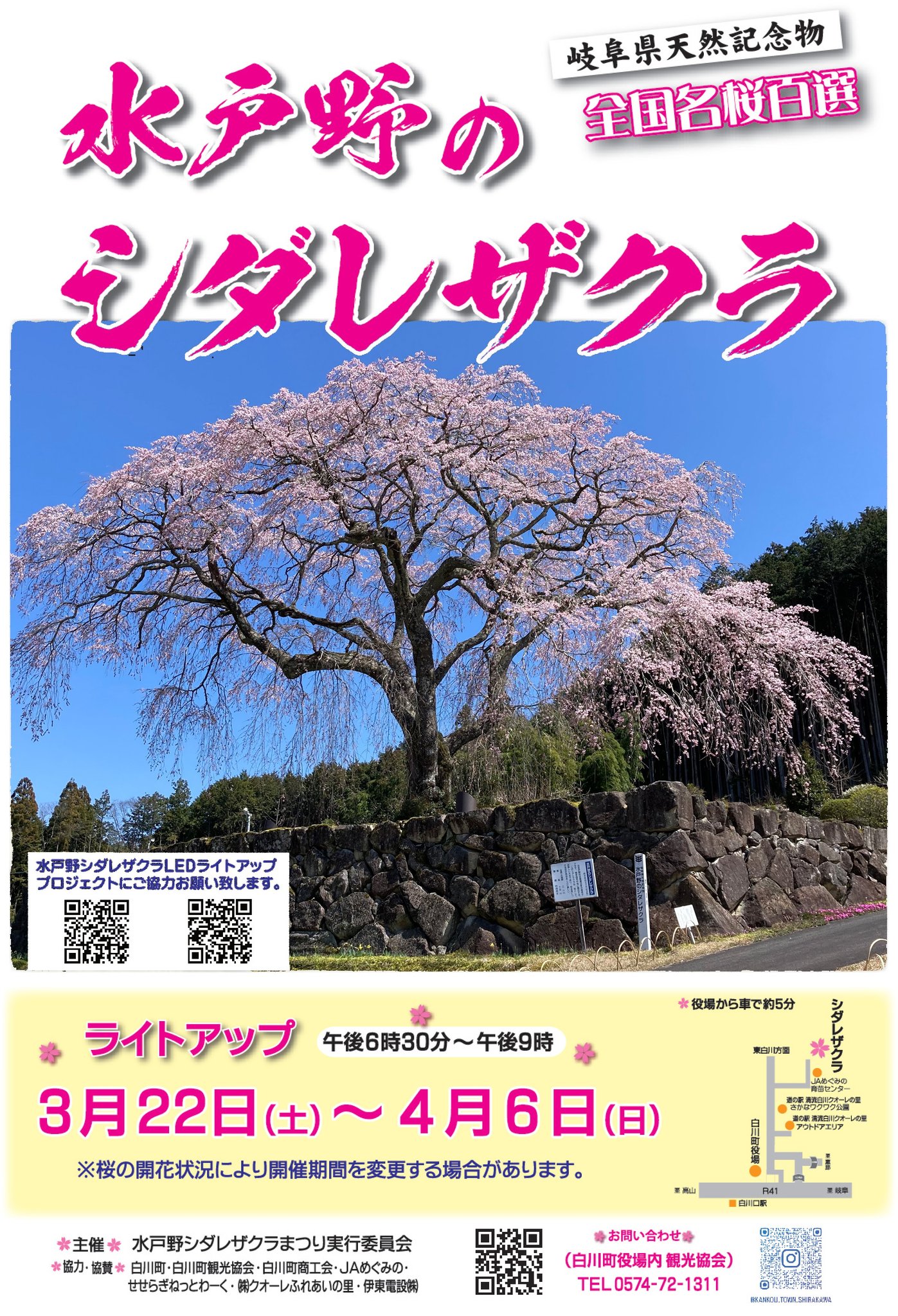 かもStyle - 水戸野のシダレザクラがライトアップされます！ みなさん、こんにちは。 白川町水戸野には、県の天然記念物、かつ全国名桜百選に ...
