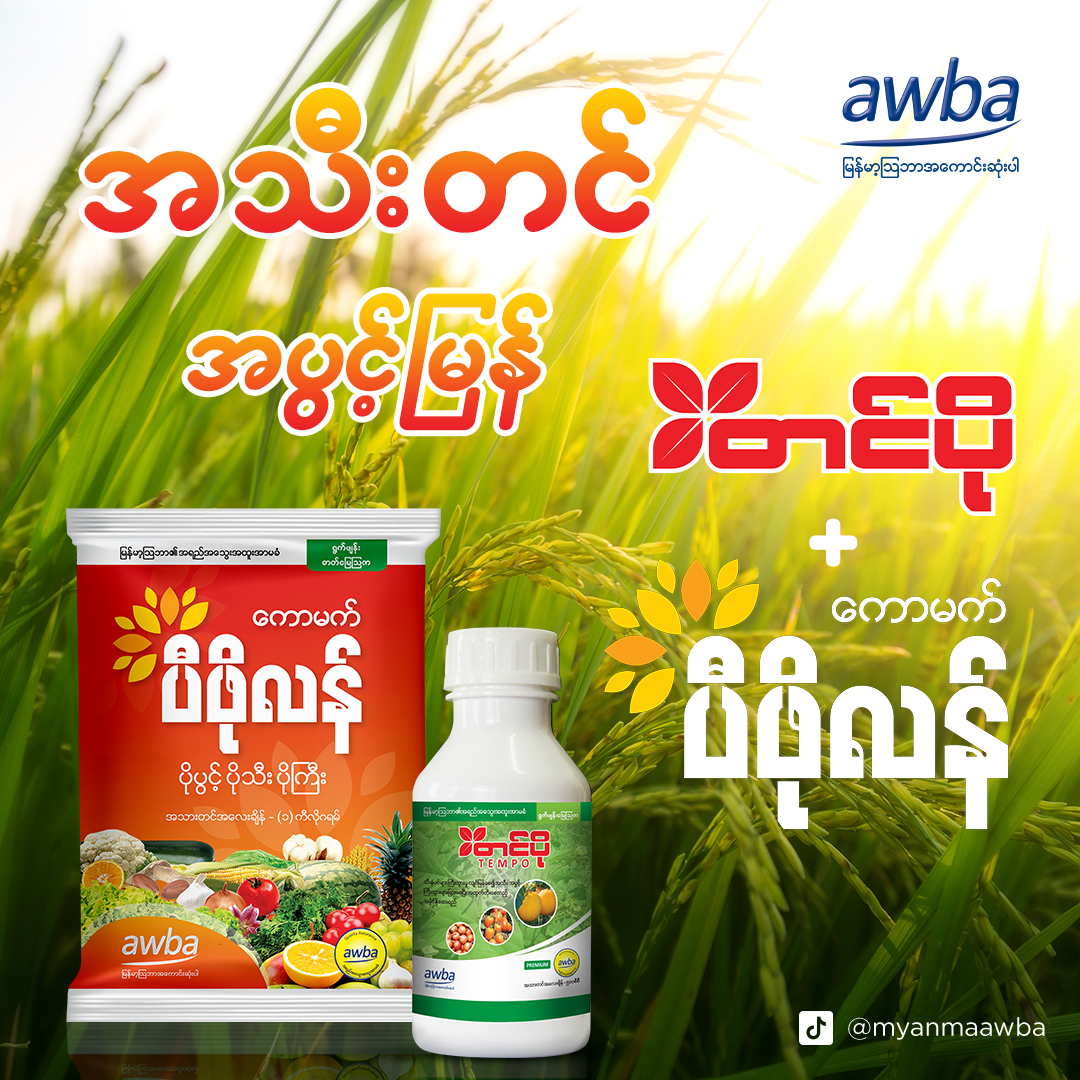 Myanma Awba - ဓာတ္ေျမၾသဇာ အသံုးျပဳမႈ အခ်ိဳးက် မွ်တသင့္