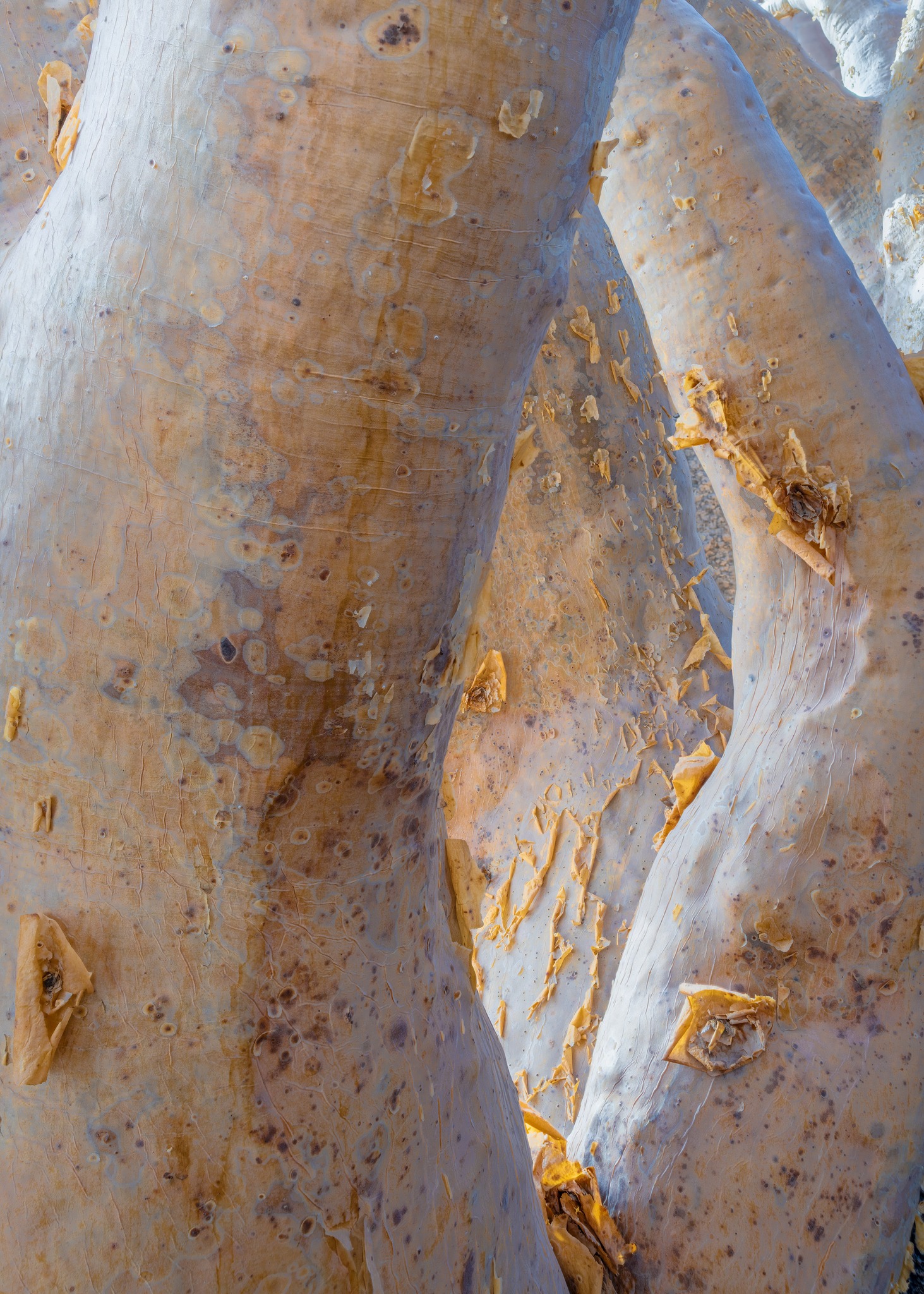 I was fascinated by... - David Ward Landscape Photographer