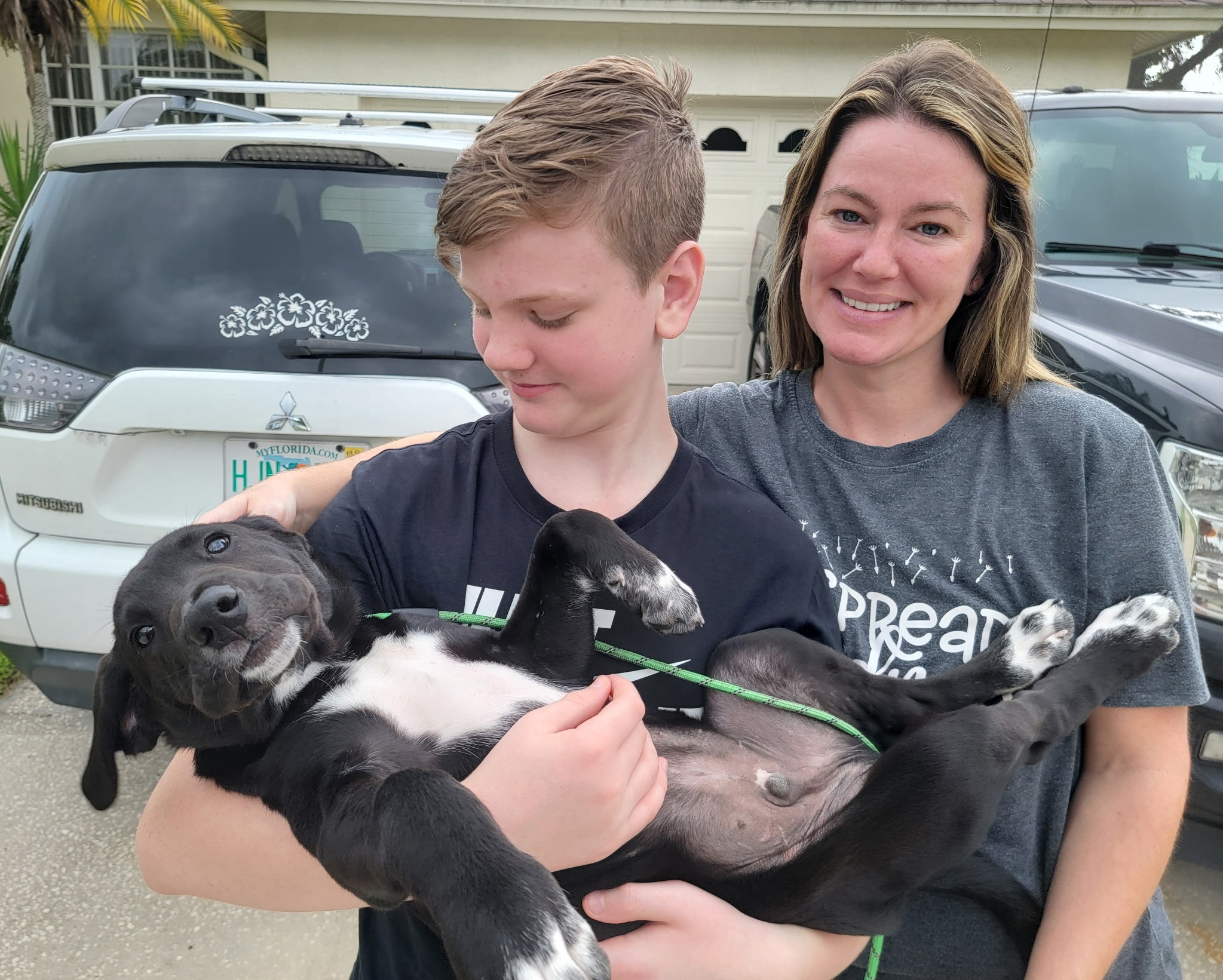 FLUFF Animal Rescue | Pinellas Park FL