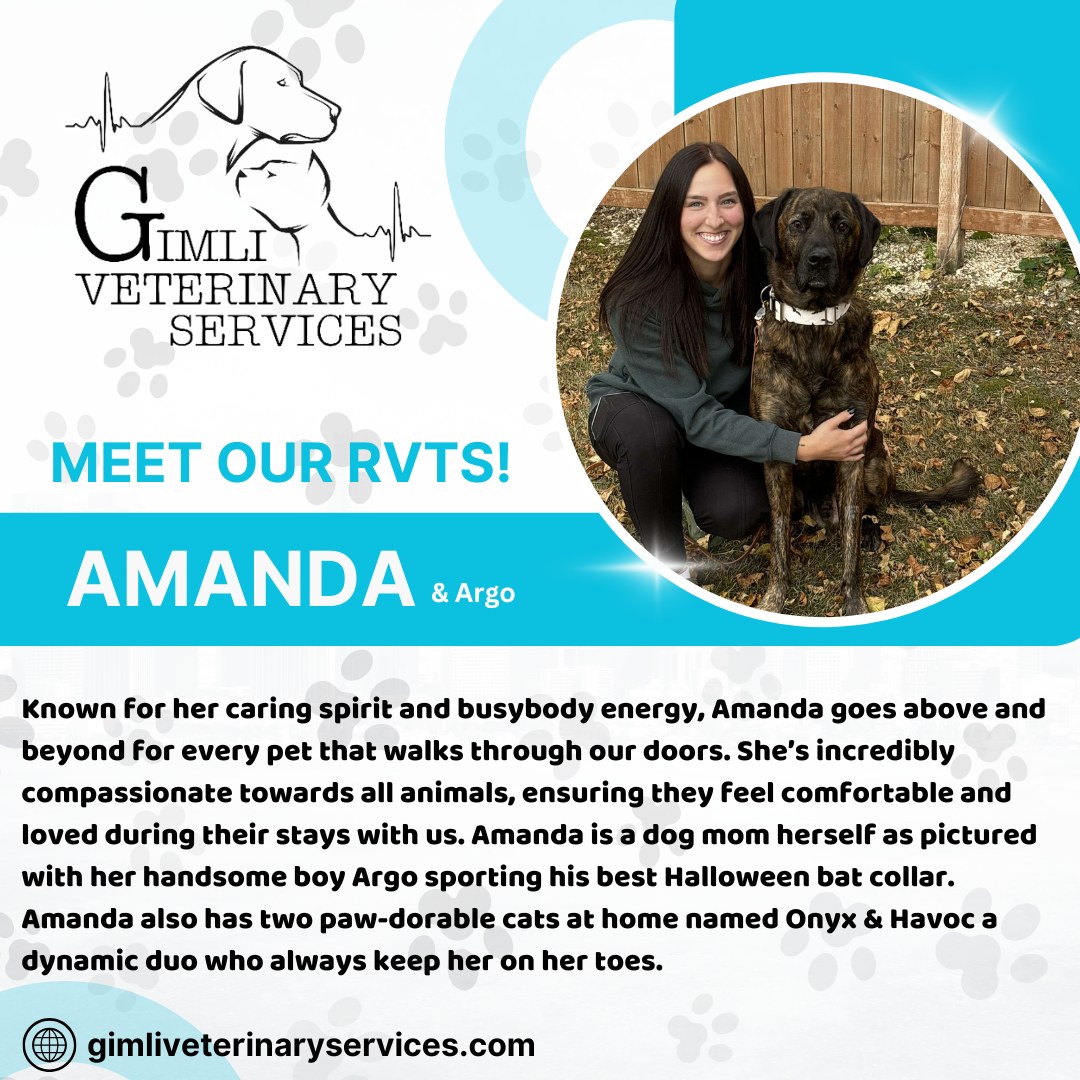 🌟🐾 Meet RVT Amanda! 🐾🌟 We’re... - Gimli Veterinary Services | Facebook