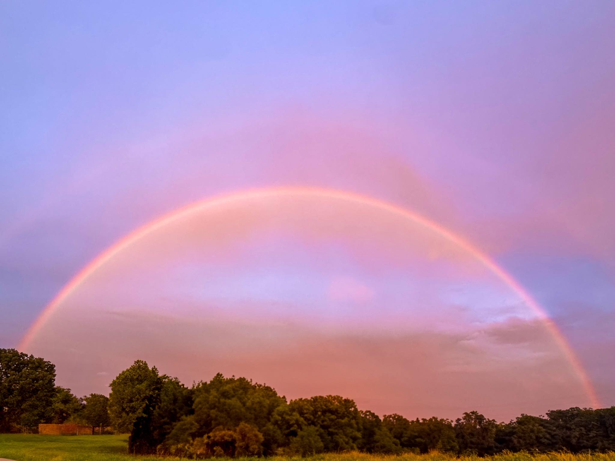 🌈 The COLORS and LIGHT FADE/SHIFT 🏆 Makes this the most