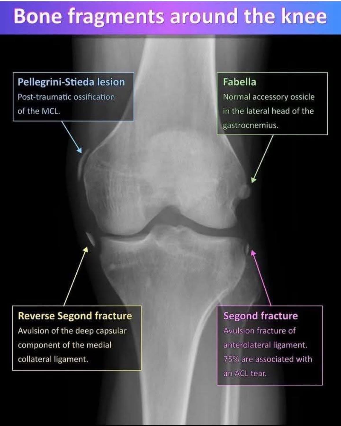 Dr. Daksh Orthocare kanpur... - Dr. Daksh Orthocare kanpur
