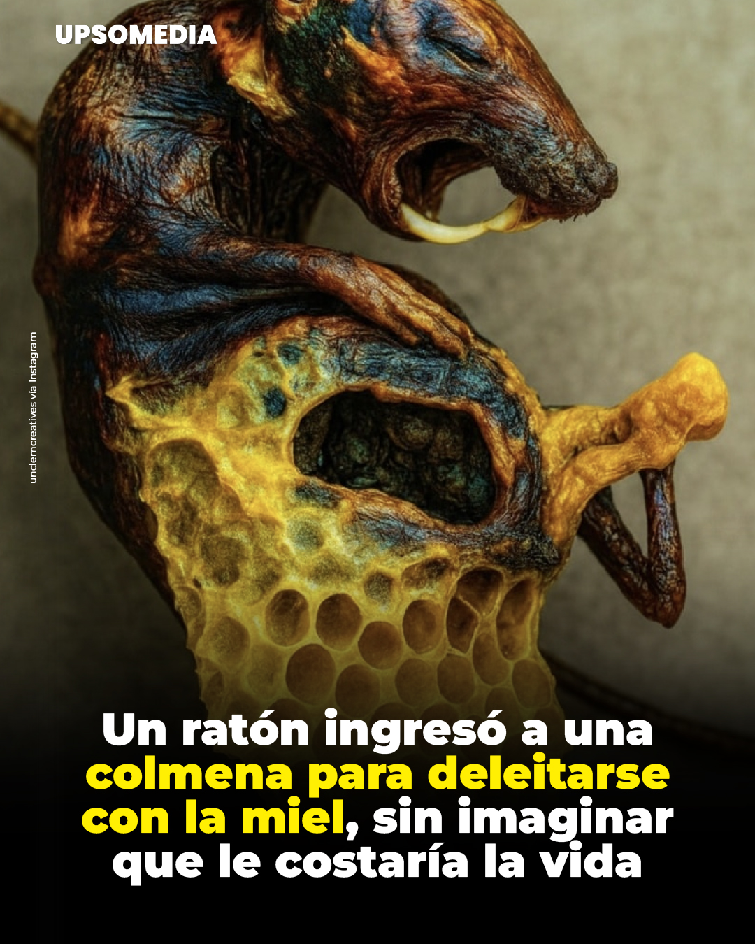 Upsocl - Un curioso ratón entró en una colmena atraído por la miel ...