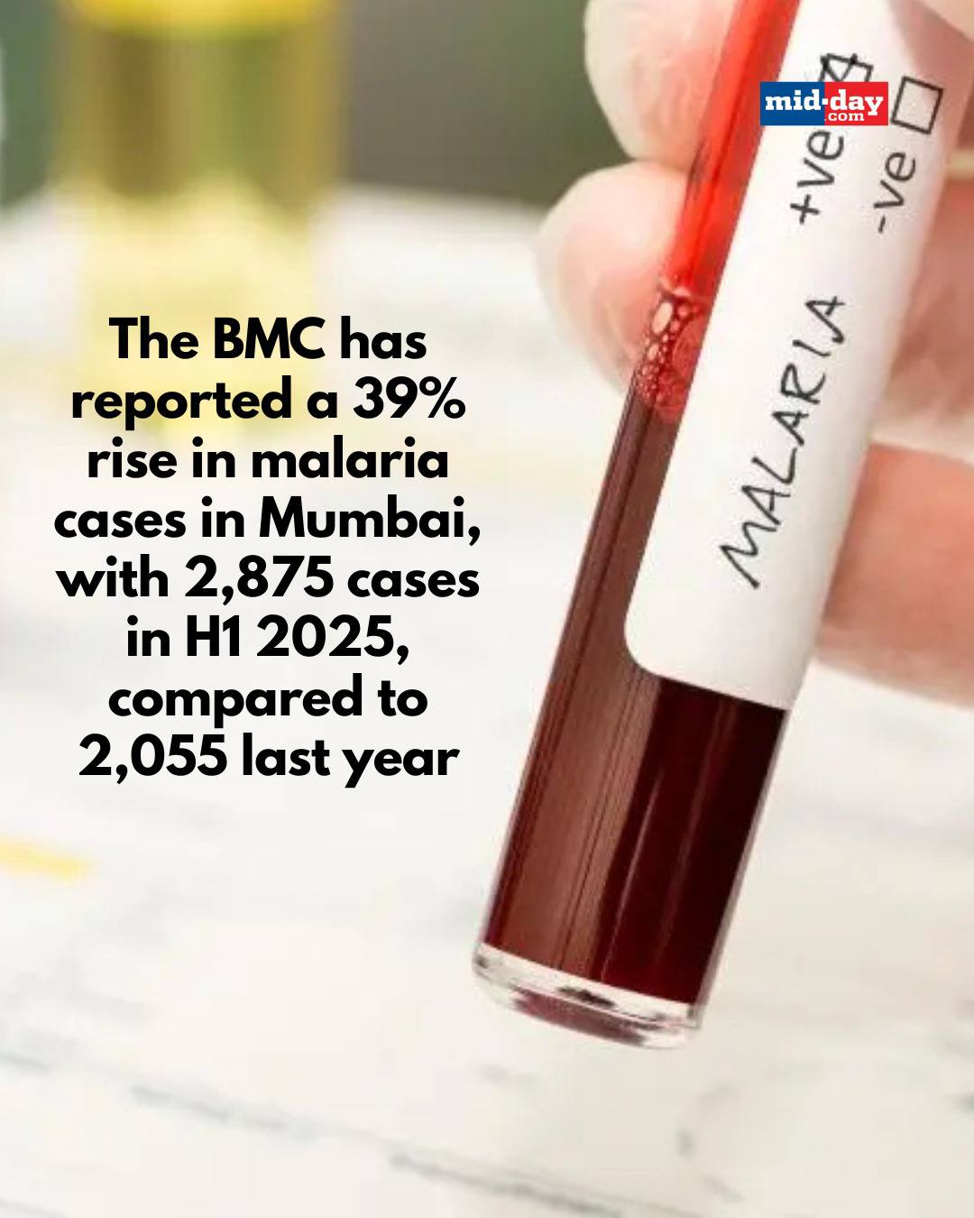 MiD DAY - A sharp 39% rise in malaria cases has hit... | Facebook