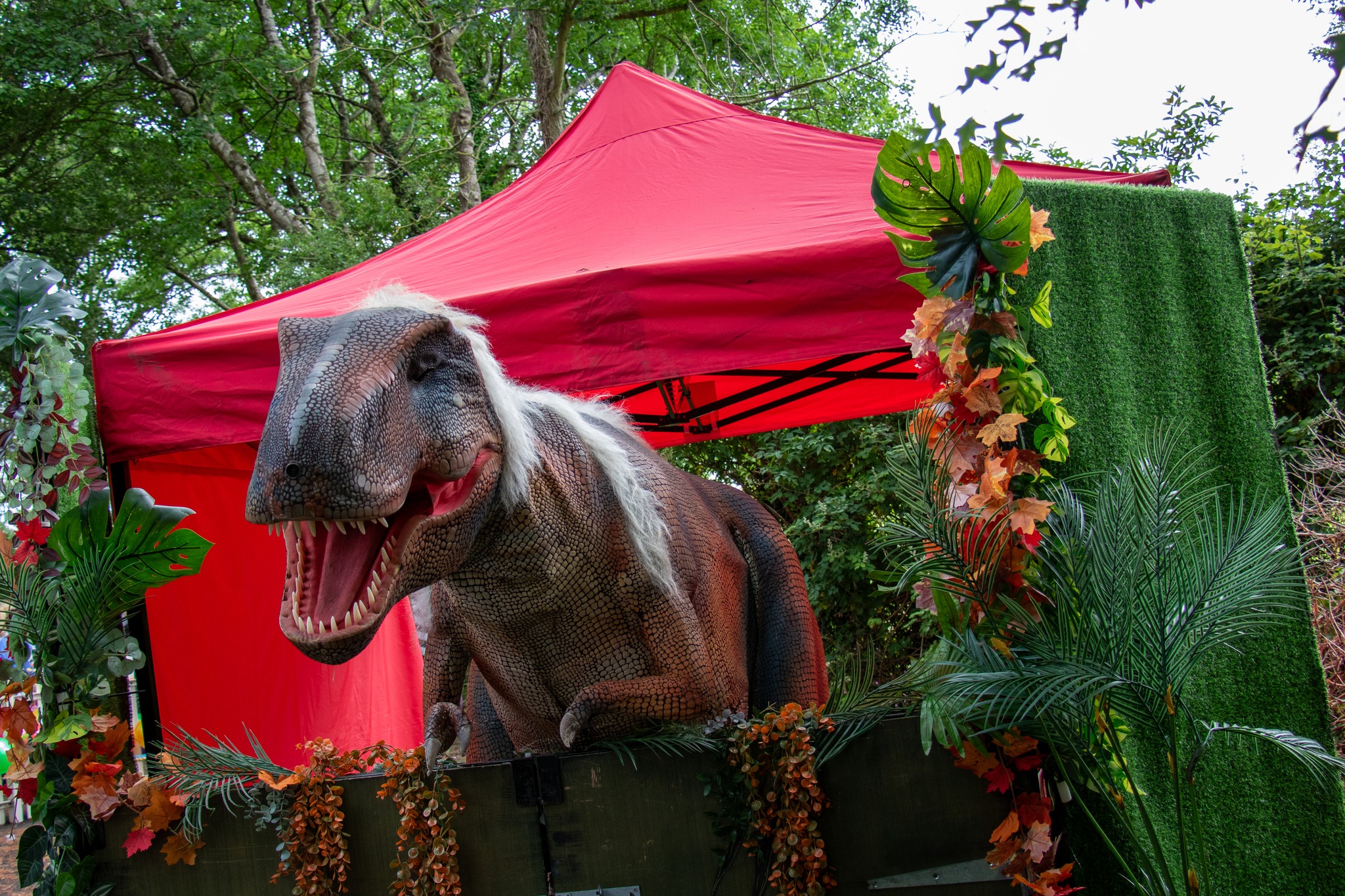 Roar Roar Dinosaur