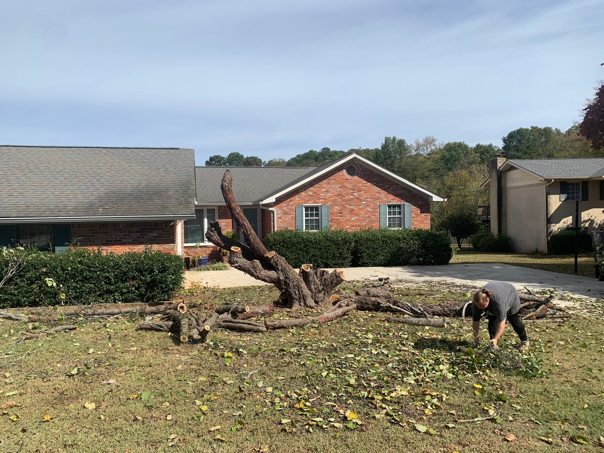 Tree Munks Tree Service | Signal Mountain TN